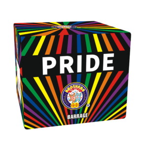 PRIDE 49 SHOT