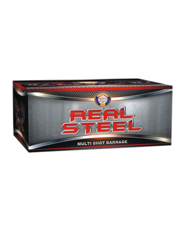 REAL STEEL